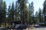 Our site at Riverside State Park