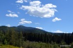 Skirting Willmore Wilderness Park