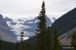 Stutfield glacier