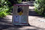The high road