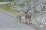 Trying to outrun us