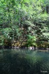 Another swimming hole