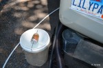 Building a better mouse trap