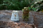 Campground Mascots