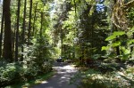 Millpond Campground