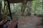 Mr. Toads Wild Ride