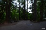 One of the campsites