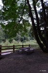Picnic table by the river