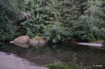 Swimming hole