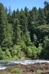 Umpqua River