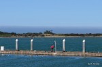 Crabbing off the Wharf