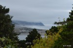 Fog in the harbor