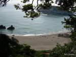 Harris State Beach Trail from TripAdvisor files