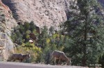 Locals standing by the road