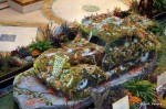 Moss car