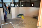 One of the insides in Old Friends