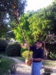 Orange Picker