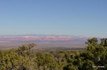 Overlooking Kaibab National Forest