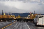 Panguitch, Keepin Them Doggies Rollin