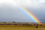 Rainbows everywhere