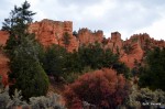 Red Canyon
