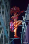Show Girls Neon