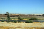 Stockyard