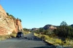 Turkey crossing by the RV sites