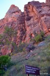 Zion, Mt. Carmel Tunnel