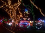 Street of lights-Palm Beach Gardens