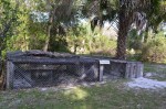 Alligator wrestling area