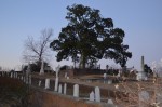 Dusk sneaking into the Cemetery