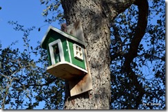 Bird houses