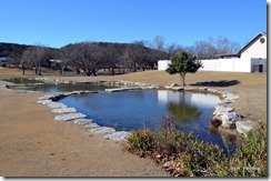 Dog Park, Play Area