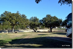 Picnic area by RV sites