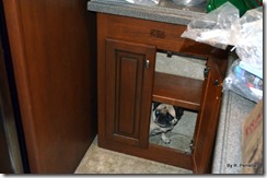 Yes, we can see you...