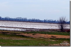 snow capped fields