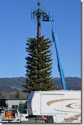 CA Cell Phone Tower tree