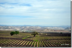 Mendocino Wine Country
