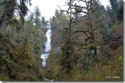 Munson Creek Falls