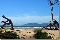 Oceano Beach