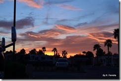 Palm Creek RV Resort