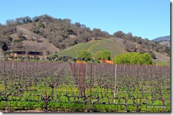 Saracina Winery