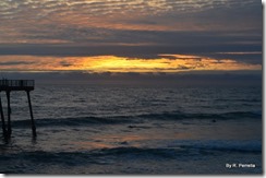 Surfers in Pismo Beach