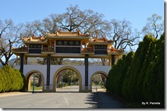 University Entrance