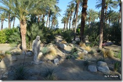 Walk through the desert