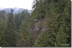 Cliff Walk and Overlook