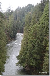 View from the Suspension Bridge