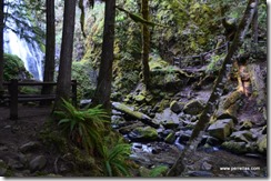 Overlook at Susan Creek Falls