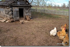 Chicken coop